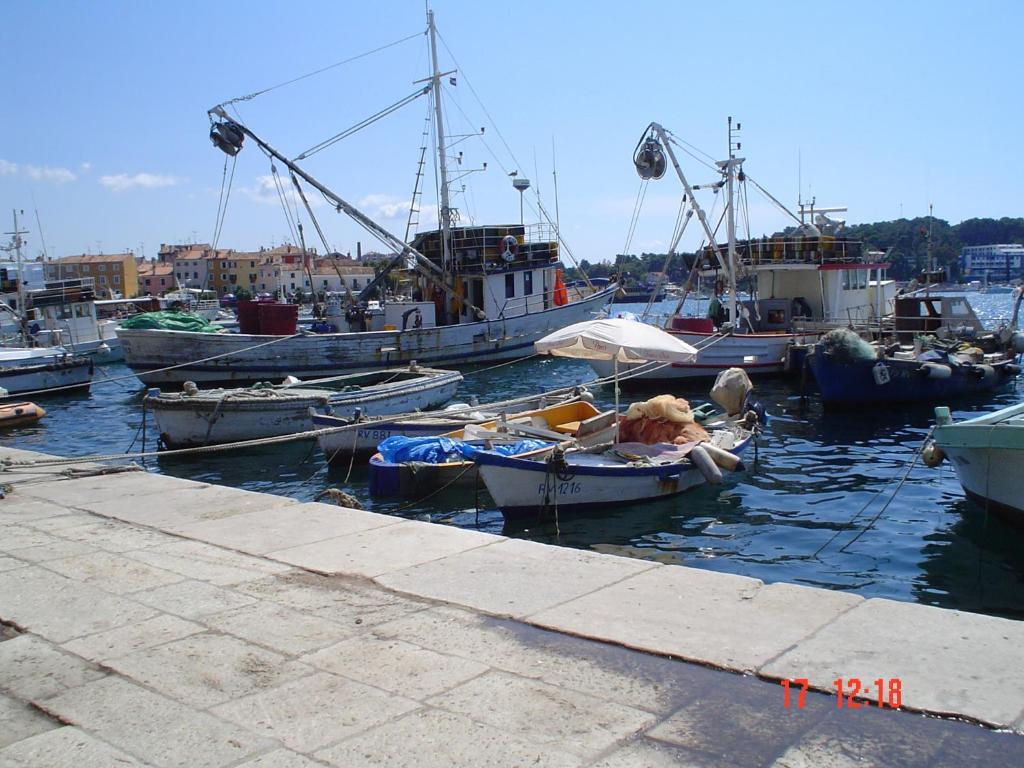 Apartments Villa Martinuzzi Rovinj Luaran gambar